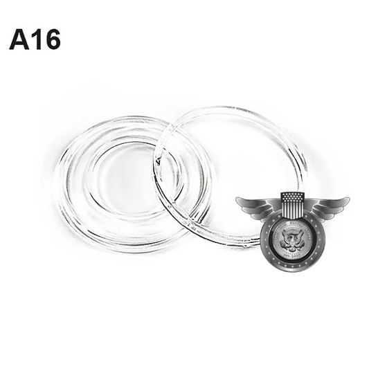 Direct Fit Air-Tite A16 - 1/10 oz. ($5) Gold Eagle