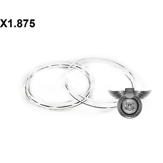 Direct Fit Air-Tite X6 - 2 oz. Silver Round